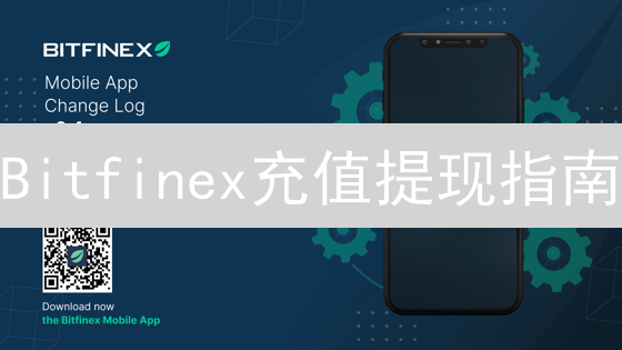 Bitfinex充值提现指南：避坑指南！安全高效管理数字资产？