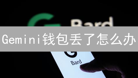 Gemini钱包丢了怎么办？超详细恢复指南，安全找回你的币！