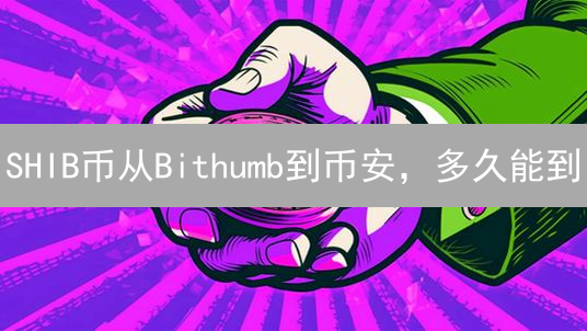 SHIB币从Bithumb到币安，多久能到？揭秘充值时间影响因素！
