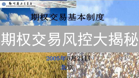 期权交易风控大揭秘：火币 vs Upbit，谁更胜一筹？